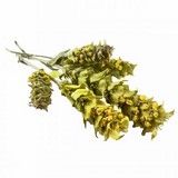 Tisanes Mélanges d'herbes: Infusion des montagnes grecques entière BIO